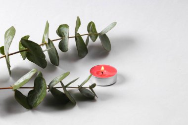 Aromatherapy. Aroma candle with sprig of eucalyptus on gray background
