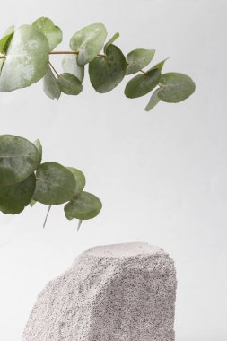 natural showcase. Abstract composition of stone podium with sprig of eucalyptus on gray background. Background, platform for product photo