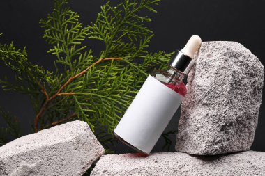 Serum bottle mockup on stone with fir branch. Natural cosmetics, beauty concept. Modern still life, product photo. Aesthetic minimalist composition.