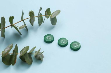 Geri dönüşüm sembollü plastik şişe kapakları ve mavi arka planda okaliptüs dalları. Eko kavramı