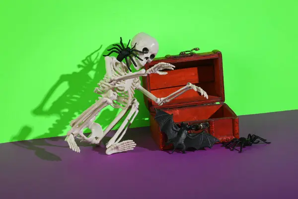 Kalózláda Őrző Csontvázzal Denevérekkel Pókokkal Zöld Lila Háttérrel Halloween Csendélet — Stock Fotó