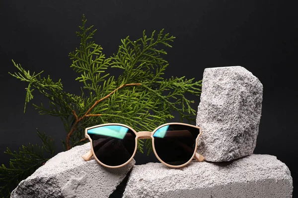 Sunglasses on stone with fir branch. Fashion concept. Modern still life, product photo. Aesthetic minimalist composition.