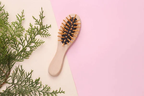 Wooden comb with fir twigs on pastel background