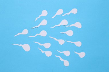 Mavi arka planda insan erkek spermi. Üreme sistemi.