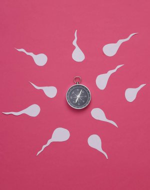 Human male spermatozoa with compass on a blue background. Reproduction system, ovulation clipart