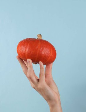 Orange pumpkin in female hand on a blue background