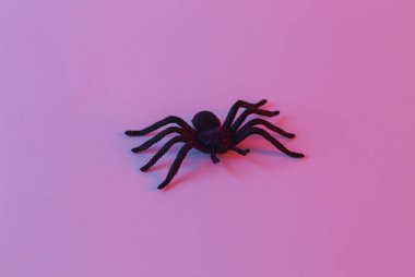 Decorative halloween spider in neon light
