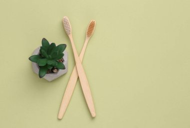 Two bamboo toothbrushes with a decorative plant on a green background. Top view