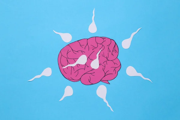 Spermotoxicose Papier Gesneden Hersenen Met Sperma Blauwe Achtergrond — Stockfoto