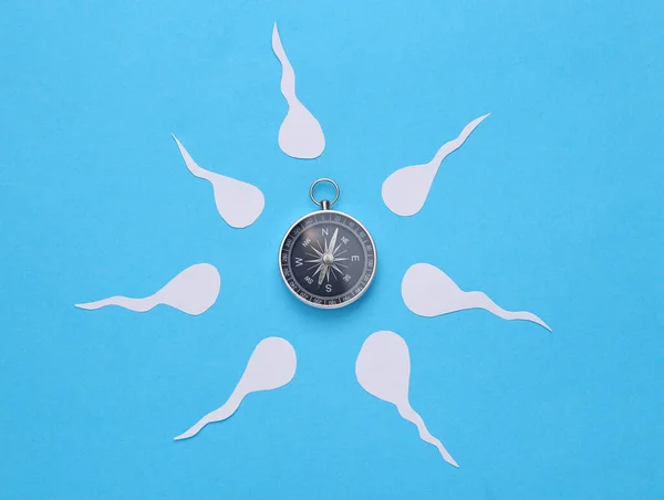 Lidské Mužské Spermie Kompasem Modrém Pozadí Reprodukční Systém — Stock fotografie