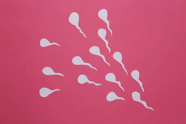 Lidské Mužské Spermie Růžovém Pozadí Reprodukční Systém — Stock fotografie