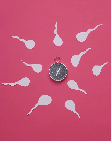 Lidské Mužské Spermie Kompasem Modrém Pozadí Reprodukční Systém Ovulace — Stock fotografie