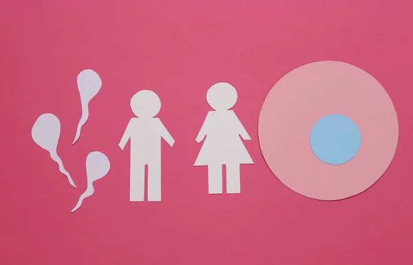 Koncept Plánování Těhotenství Spermatozoa Vajíčko Papír Cut Muž Žena Růžovém — Stock fotografie