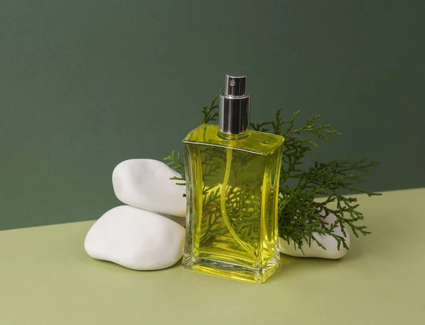 Parfümflasche Mit Kieselsteinen Und Tannenzweig Auf Grünem Zweifarbigem Hintergrund Ästhetische — Stockfoto