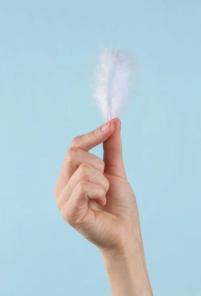 Soft feather in female hand on a blue background.