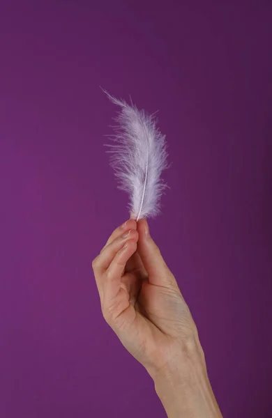 Soft feather in female hand on purple background.