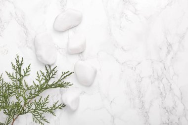 Eco, spa concept. Pebbles with a sprig of fir on a marble background. Top view