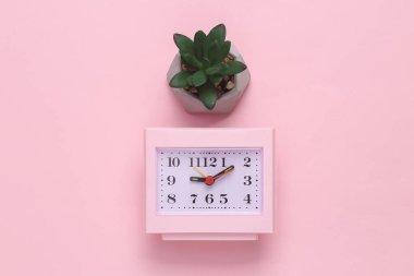 Business concept. Flat lay composition of clock and decorative plant on pink background