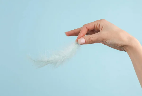Woman\'s hand hold soft feather on a blue background