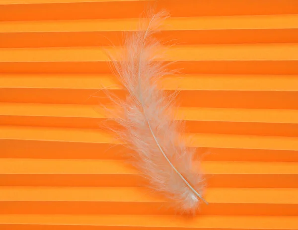 Μαλακό Φτερό Πορτοκαλί Κυματοειδές Φόντο — Φωτογραφία Αρχείου