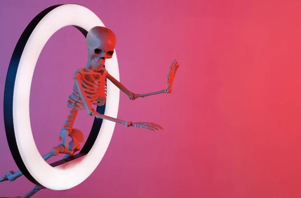 Scary skeleton through led ring lamp in red blue neon gradient light. Creative idea. Halloween concept
