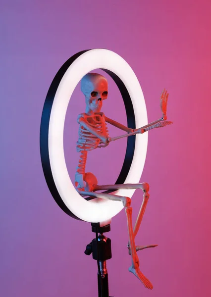 Scary skeleton sitting on led ring lamp in red blue neon gradient light. Creative idea. Halloween concept
