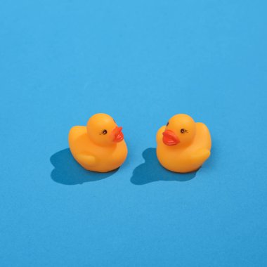 Lastik ördek yavrularıyla yaratıcı bir düzen. Gölgeli parlak mavi bir arka plan. Görsel yaz trendi. Minimalist estetik natürmort. Yeni fikir.