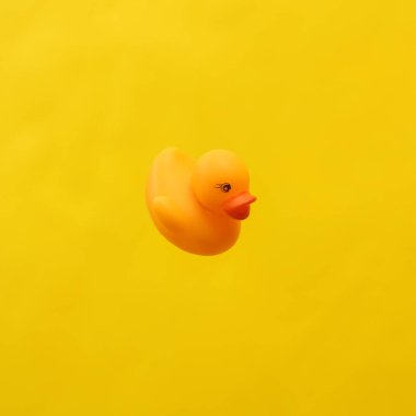 sarı arkaplanda izole edilmiş plastik ördek