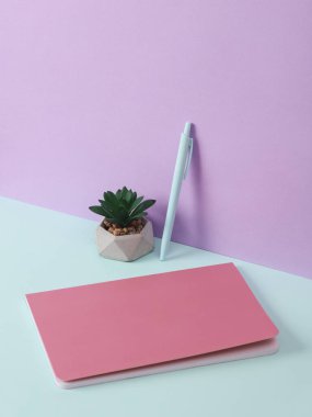 İki tonlu pastel arka planda kalem ve bitki ile modern ve yaratıcı kompozisyon. Minimal natürmort. Yeni bir fikir. İş, eğitim kavramı