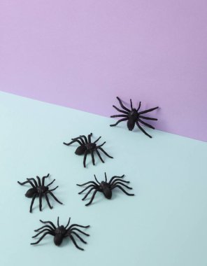 Pastel arka planda örümcekler olan yaratıcı cadılar bayramı düzeni. Kavramsal patlama. En az yaşam süresi