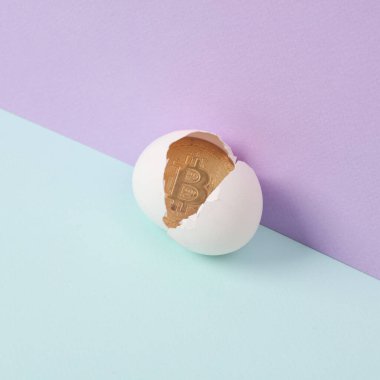 Yaratıcı düzen. İki tonlu pastel arka planda yumurta kabuğu olan bitcoin. Kavramsal patlama. Minimum iş hayatı.