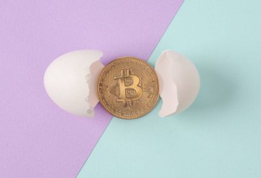 Yaratıcı düzen. İki tonlu pastel arka planda yumurta kabuğu olan bitcoin. Kavramsal patlama. Minimum iş hayatı.
