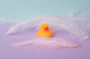 Minimalist estetik natürmort. Pastel arka planda tüyleri olan lastik ördek. Yeni bir fikir. Yaratıcı yerleşim