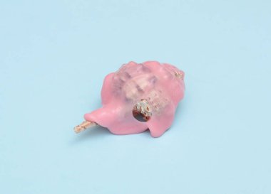 Yaratıcı yaz düzeni, deniz kabuğu ve mavi pastel arka plan. Görsel trend. Yeni bir fikir. Konsept pop