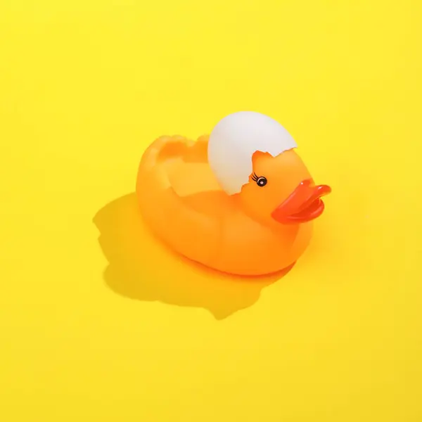 Creative layout of rubber duck with eggshell on head, bright yellow background. Visual summer trend. Minimalistic aesthetic still life with shadow. Fresh idea