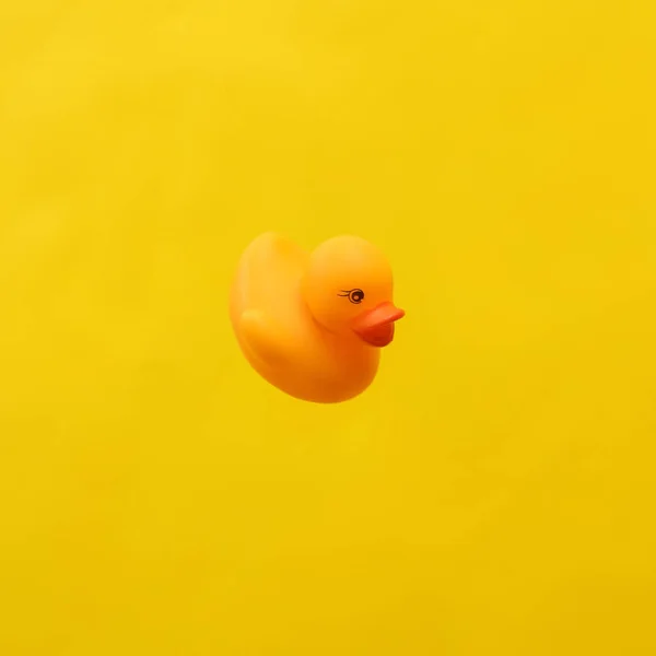 Rubber duck isolated on yellow background