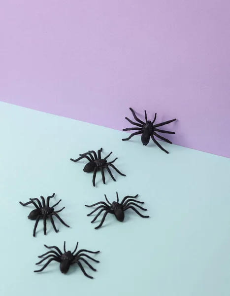 Kreatív Halloween Elrendezés Pókok Pasztell Háttér Fogalmi Pop Minimális Csendélet — Stock Fotó