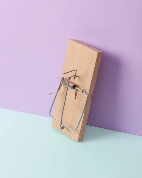 Creatieve Lay Out Met Muizenval Pastelachtergrond Conceptuele Pop Minimale Stilstand — Stockfoto