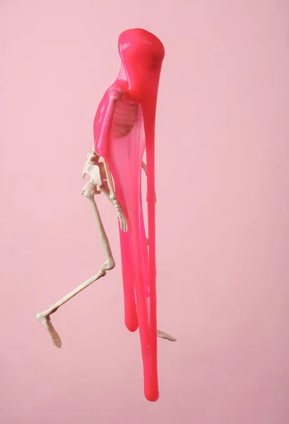 Esqueleto Con Limo Sobre Fondo Rosa Una Idea Fresca Minimalismo —  Fotos de Stock