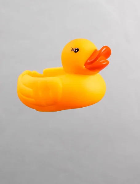 Rubber duck isolated on gray background