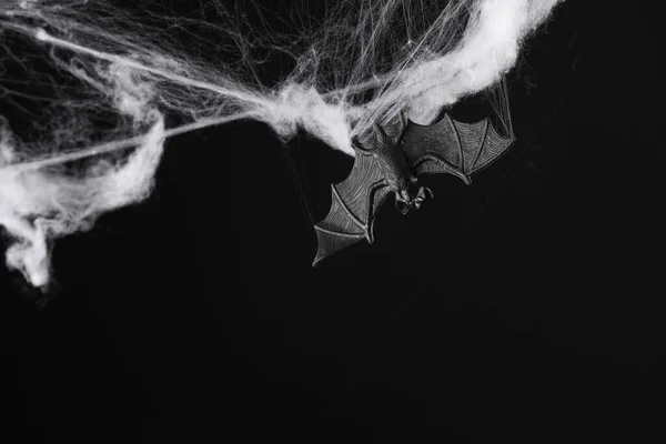 蜘蛛网与装饰蝙蝠隔离在黑色背景 万圣节背景 — 图库照片