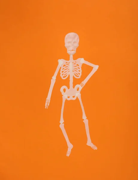 Esqueleto Plástico Isolado Fundo Laranja Conceito Halloween — Fotografia de Stock
