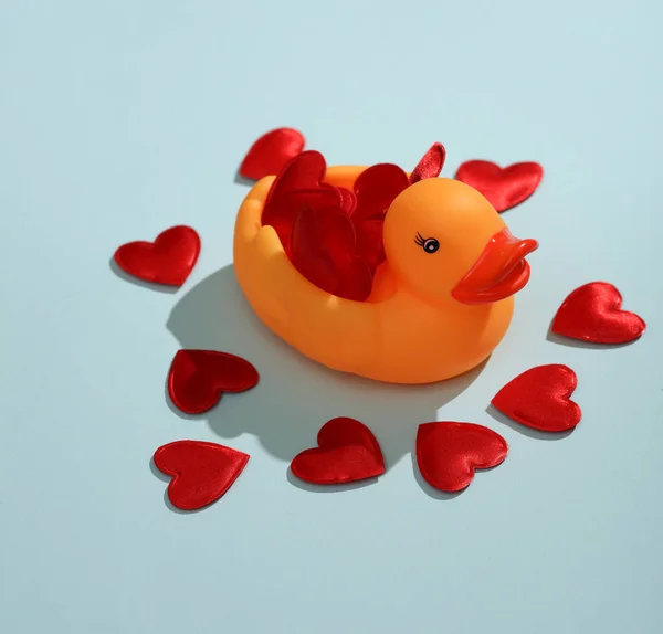 stock image Rubber duck with hearts on a blue background. Love concept, valentine's day, february 14th celebration, creative layout