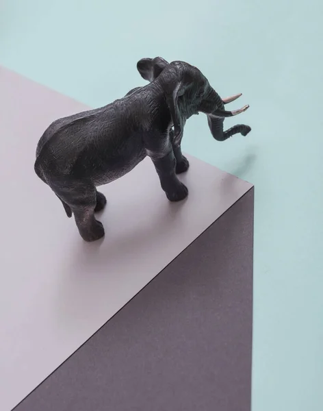 stock image Toy elephant on paper cube. Optical illusion. Geometric composition. Minimalistic creative layout