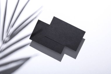 Beyaz arka planda palmiye yaprağı gölgesi olan şirket kimliği için siyah boş kartvizitler. Yaratıcı model.