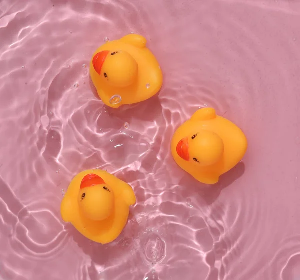 Rubber ducklings in pink water with shadows. Top view