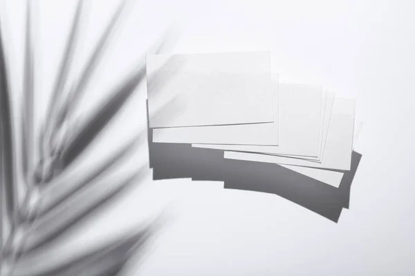 Witte Blanco Visitekaartjes Voor Huisstijl Met Palmblad Schaduw Witte Achtergrond — Stockfoto