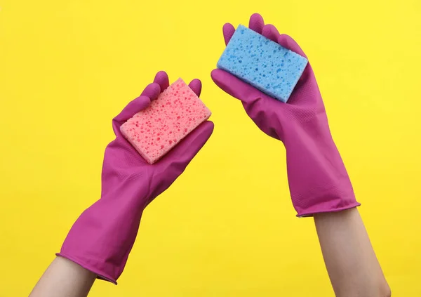 Stock image Hands in purple rubber cleaning gloves holding sponges on a yellow background. House cleaning and housekeeping concept