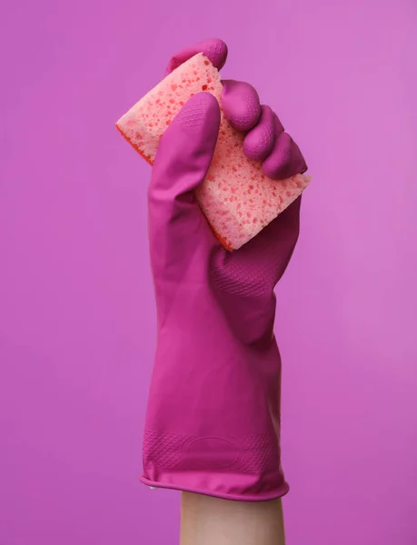 Hand in purple rubber cleaning glove holding sponge on purple background. House cleaning and housekeeping concept