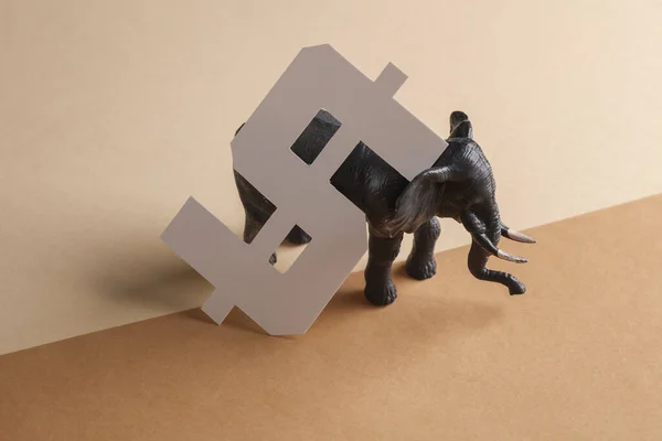 Jouet Éléphant Avec Symbole Devise Dollar Sur Fond Brun — Photo